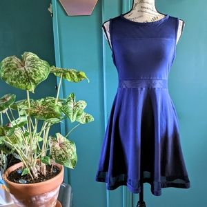 Express Royal Blue Mesh Skater Dress